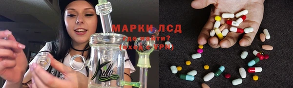 стаф Магадан