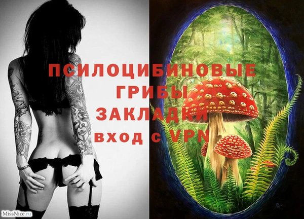 гидропоника Магас