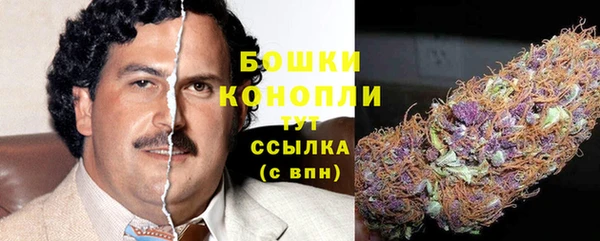 стаф Магадан