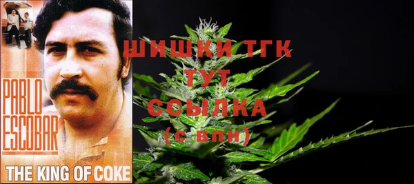 гидропоника Магас